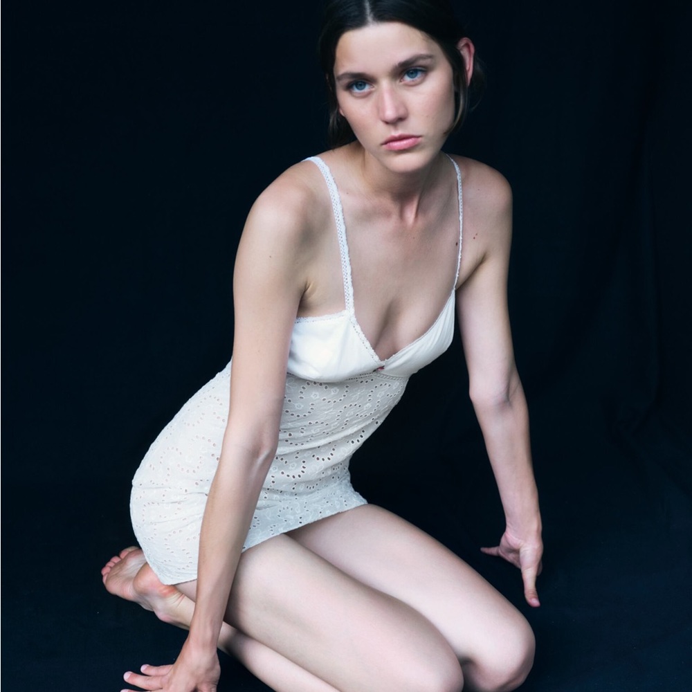 - NWOT L Zara eyelet Openwork Embroidery Dress white sexy